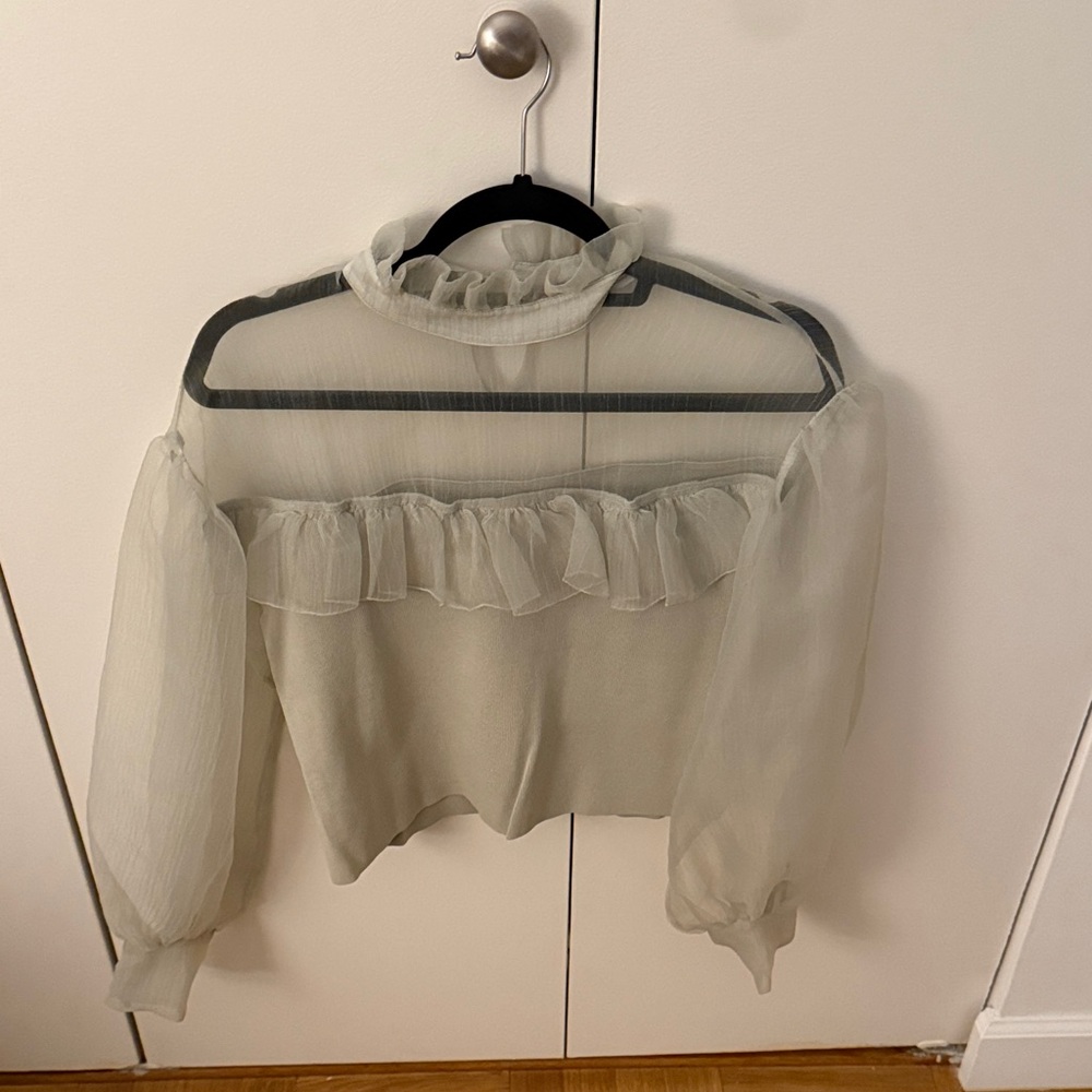 Zara Sheer Ruffle Blouse in Mint Green